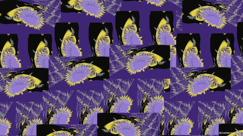 Image 'reflets &mdash; msg &mdash; variations 2 new 8 10 8'.