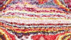 Fifth of '3.6 collection paint 1'.