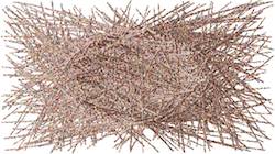 First of 'reflets &mdash; paint synthesiser classic &mdash; 3.0 collection particles 5'.