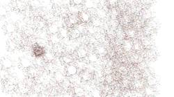 Seventh of 'reflets &mdash; paint synthesiser classic &mdash; 3.0 collection pattern effects 3'.