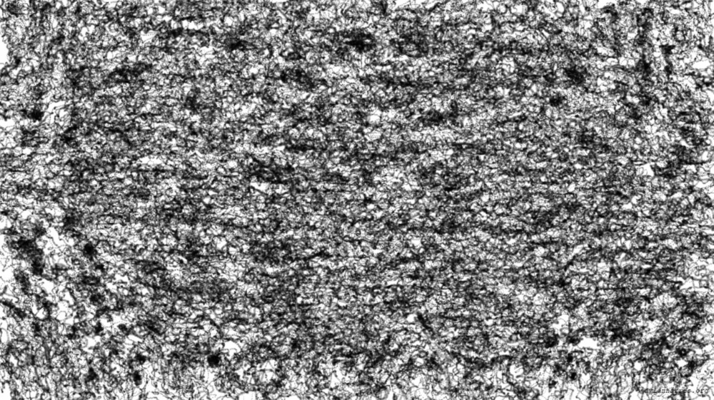 Image 'reflets &mdash; paint action sequence &mdash; paint effects 2'.