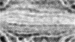 Fifth of 'reflets &mdash; paint synthesiser classic &mdash; default pencils 2'.