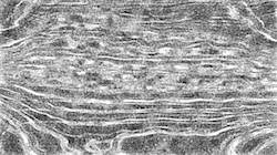 Sixth of 'reflets &mdash; paint synthesiser classic &mdash; default pencils 2'.