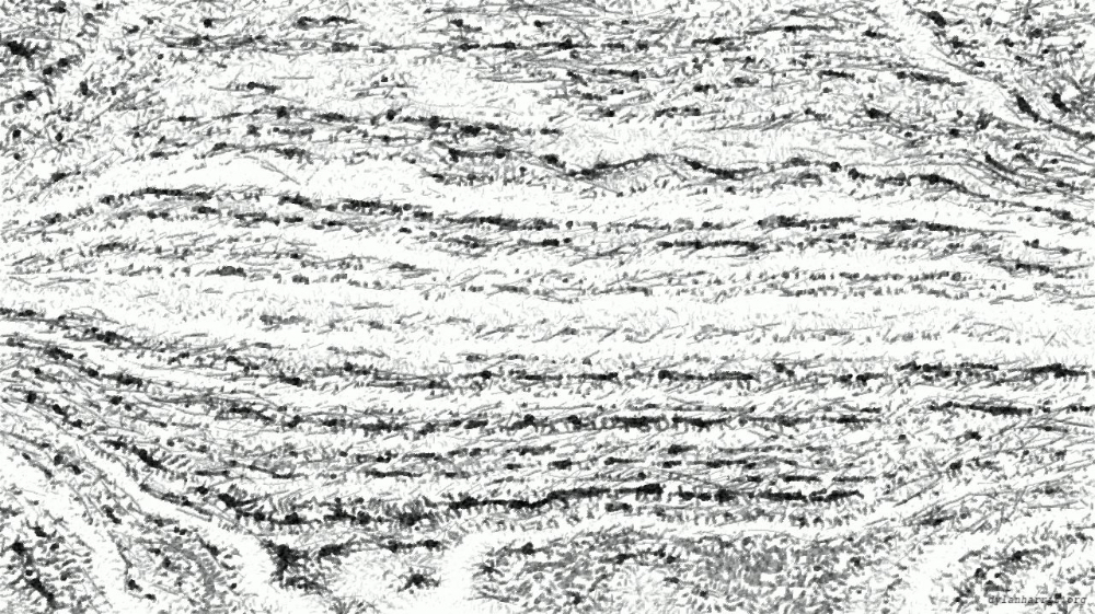 Image 'reflets &mdash; paint action sequence &mdash; pencil sketch 1 7'.