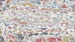 Fourth of 'reflets &mdash; paint synthesiser classic &mdash; 3.0 collection radical 3'.