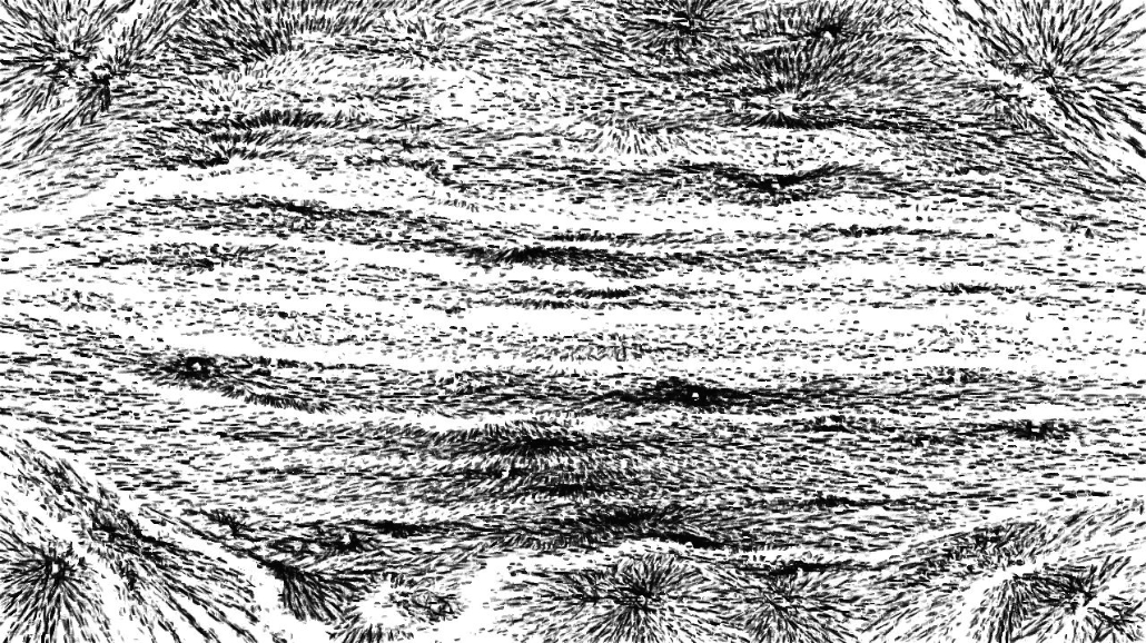 Image 'reflets &mdash; paint synthesiser classic &mdash; 4.0 collection regionisers 2 2 4'.