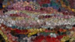 Seventh of 'reflets &mdash; paint synthesiser classic &mdash; 3.0 collection regions mutual drawn 2'.