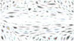 Fifth of 'reflets &mdash; paint synthesiser classic &mdash; 3.0 collection regions mutual drawn 3'.