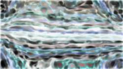 Sixth of 'reflets &mdash; paint synthesiser classic &mdash; 3.0 collection regions mutual drawn 3'.