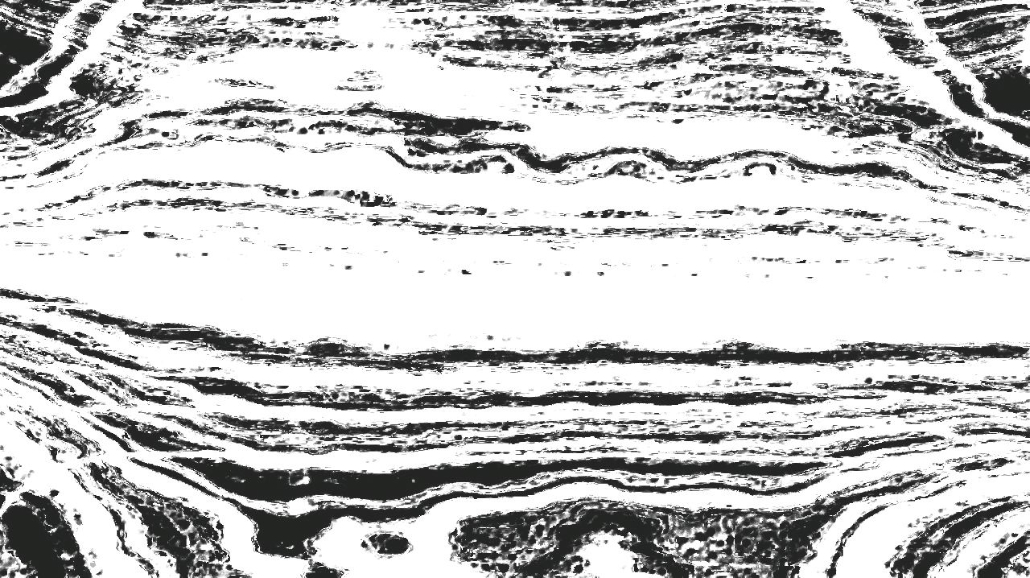 Image '4.0 A collection rough sketch scribblers 1 2'.