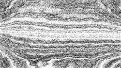 Third of 'reflets &mdash; paint synthesiser classic &mdash; 4.0 collection sketch alt exp 2'.