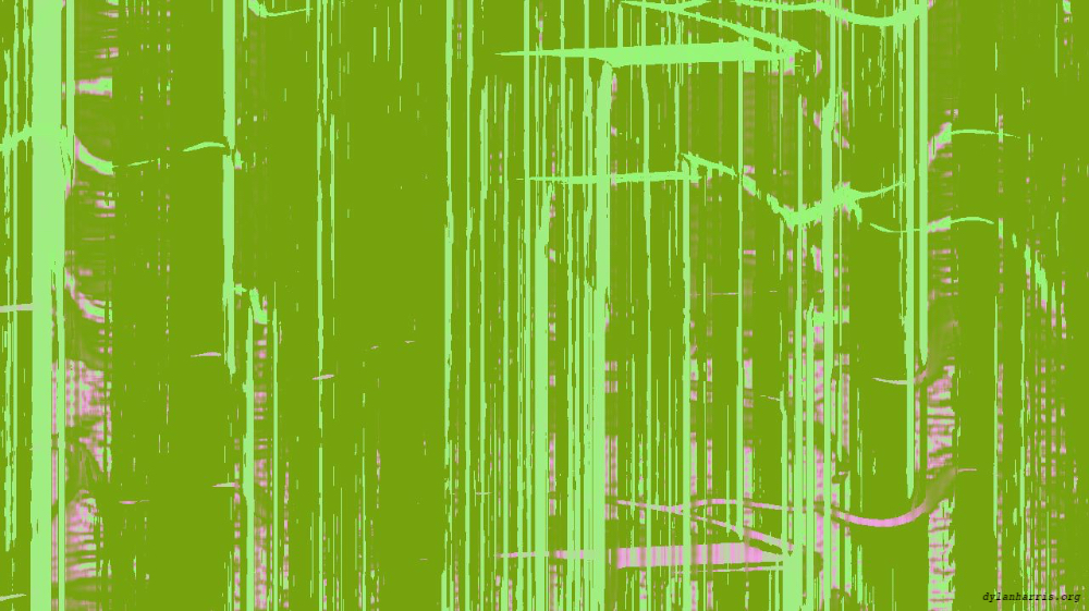 Image 'self animation reflets &mdash; msg &mdash; processing effects with alpha 2 6'.