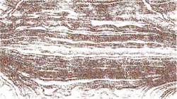 Second of 'reflets &mdash; paint synthesiser classic &mdash; 3.5 collection sketch 1'.