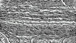 Fourth of 'reflets &mdash; paint synthesiser classic &mdash; 3.5 collection sketch 1'.