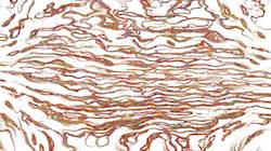 Sixth of 'reflets &mdash; paint synthesiser classic &mdash; 3.5 collection sketch 1'.