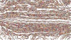 Second of 'reflets &mdash; paint synthesiser classic &mdash; 3.5 collection sketch 2'.