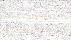 Fifth of 'reflets &mdash; paint synthesiser classic &mdash; 3.5 collection sketch 2'.