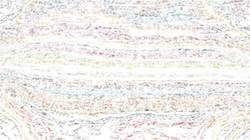 Sixth of 'reflets &mdash; paint synthesiser classic &mdash; 3.5 collection sketch 2'.