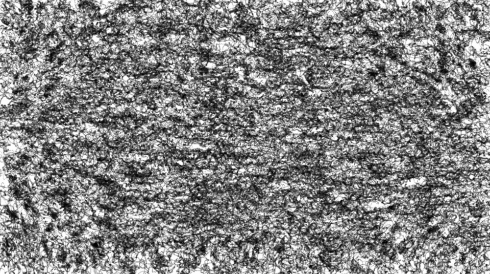 Image 'reflets &mdash; paint action sequence &mdash; sketch 1 3'.