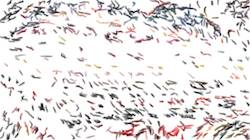 Fourth of '4.0 A collection sketching 1'.