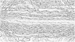 First of 'reflets &mdash; paint synthesiser classic &mdash; default sketchsoft 2'.