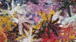 Seventh of 'reflets &mdash; paint synthesiser classic &mdash; 2.0 collection soft 1'.