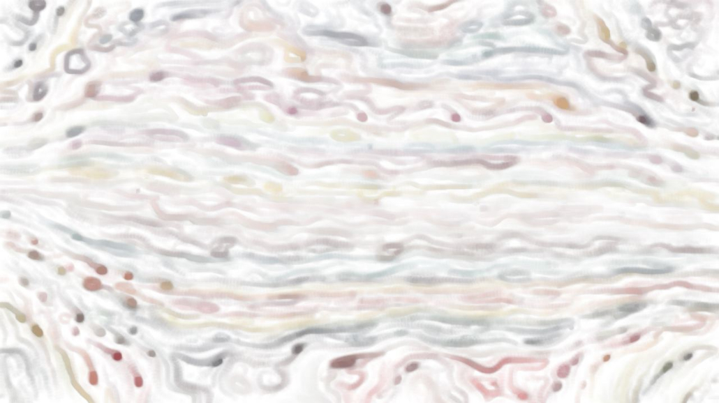 Image '4.0 A collection soft 1 1'.