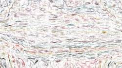 Fourth of 'reflets &mdash; paint synthesiser classic &mdash; 2.0 collection soft 4'.