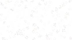 Fourth of 'reflets &mdash; paint synthesiser classic &mdash; default soft styles 1'.