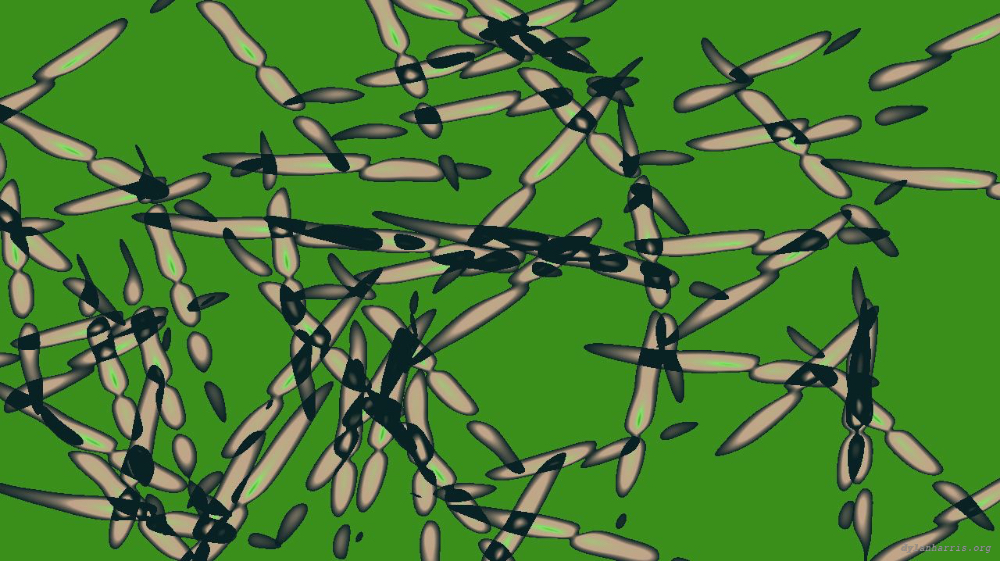 Image 'reflets &mdash; msg &mdash; variations 1 splotches 1 1'.