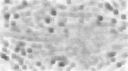 Eighth of 'reflets &mdash; paint synthesiser classic &mdash; default spread canvas 1'.