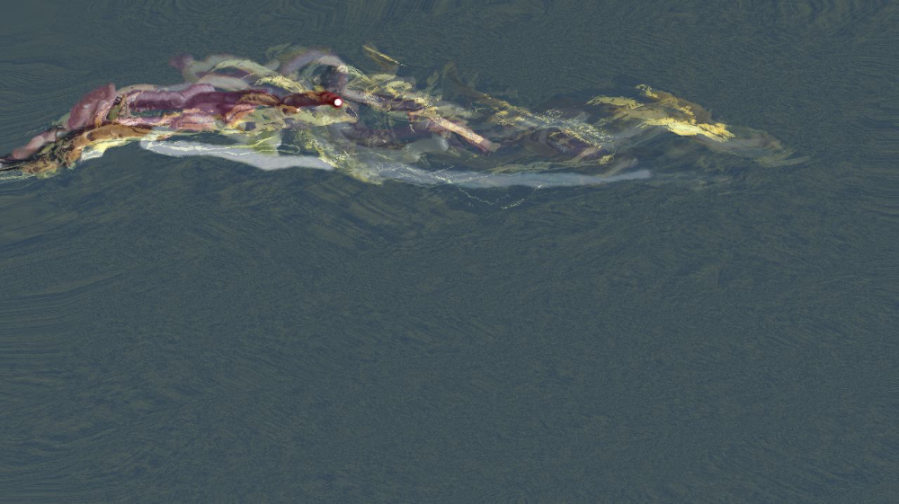 Image 'reflets &mdash; dualmode paint &mdash; default test 2 2 6'.