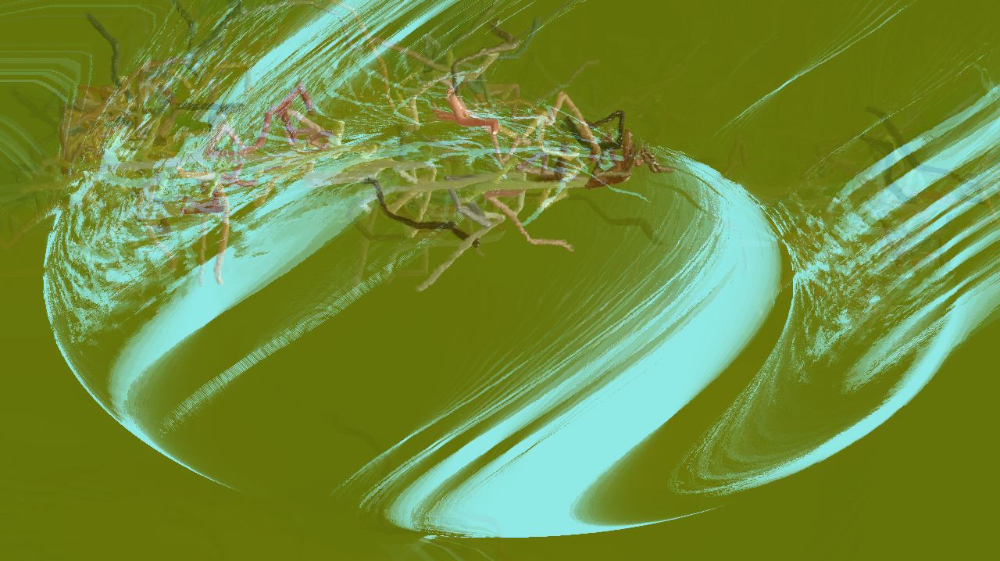 Image 'reflets &mdash; dualmode paint &mdash; default test 2 3 6'.