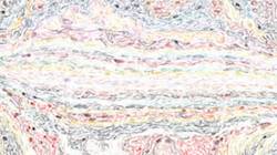 Sixth of 'reflets &mdash; paint synthesiser classic &mdash; default vibrant texture 4'.