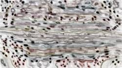 First of '4.0 A collection whispy attractors 3'.