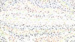 First of 'reflets &mdash; paint synthesiser classic &mdash; default wet 1'.