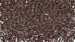 First of 'reflets &mdash; paint synthesiser classic &mdash; 3.0 collection wet one 6'.