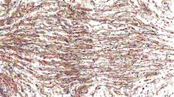 Eighth of 'reflets &mdash; paint synthesiser classic &mdash; 3.0 collection wet 4'.