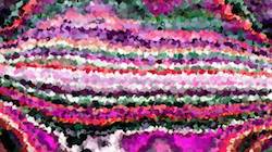 Third of 'reflets &mdash; paint synthesiser classic &mdash; 3.5 collection wild 1'.