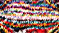 Third of '4.0 A collection wild 1'.