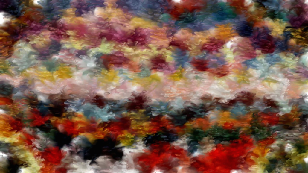 Image '4.0 A collection wild 2 2'.