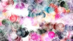 First of '4.0 A collection wild 2'.