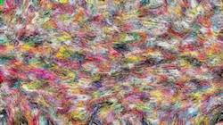 Third of '4.0 A collection wild 2'.