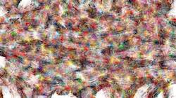 Fourth of '4.0 A collection wild 2'.