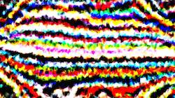 Sixth of '4.0 A collection wild 2'.