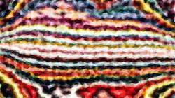 Seventh of '4.0 A collection wild 2'.