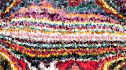 Fourth of '4.0 A collection wild 3'.