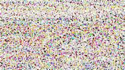 Seventh of '4.0 A collection wild 3'.