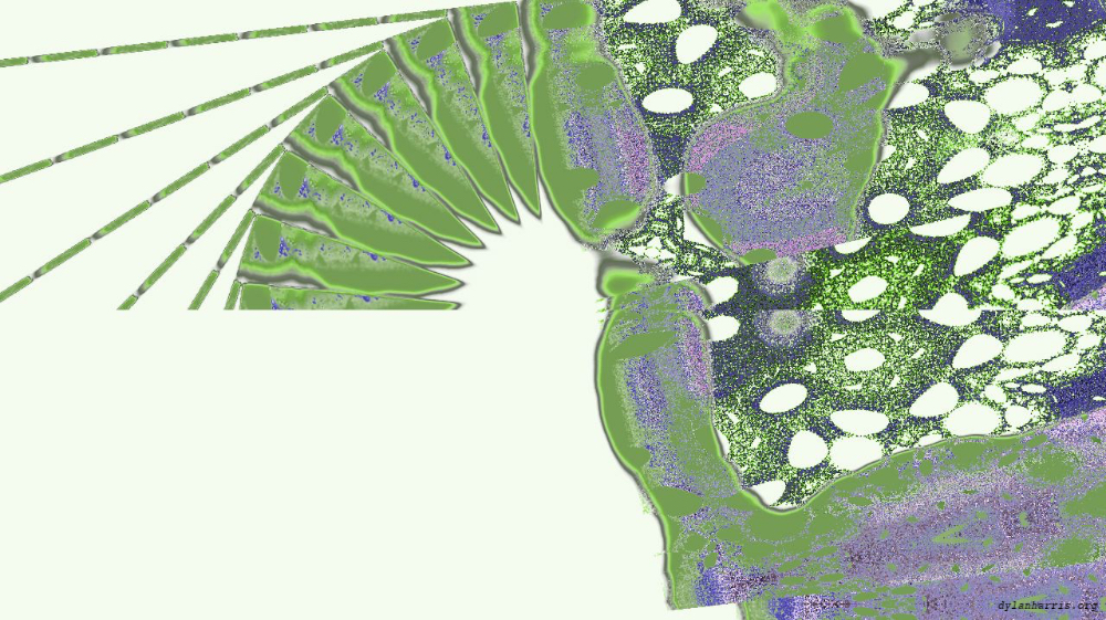 Image 'reflets &mdash; msg &mdash; variations 2 z 1 6 5'.