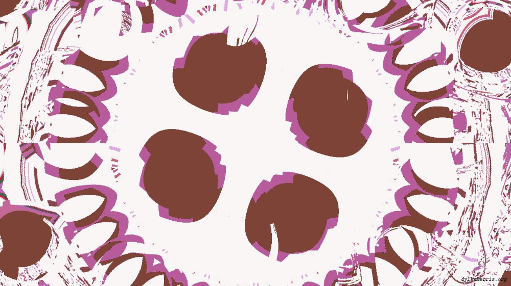 Image 'reflets &mdash; msg &mdash; variations 2 z test 2 9 1'.